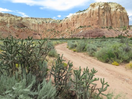 A northern New Mexico dirt road winds past cholla cactus towards ancient stone outcroppings. ©Joshua Brockman 2015. All Rights Reserved.