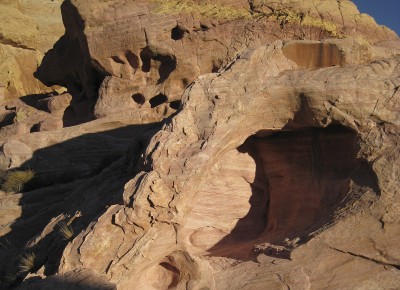 Rock, light, plants, and shadows dance in Nevada’s Valley of Fire. ©Joshua Brockman 2009. All Rights Reserved.