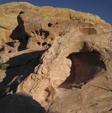 Rock, light, plants, and shadows dance in Nevada’s Valley of Fire. ©Joshua Brockman 2009. All Rights Reserved.