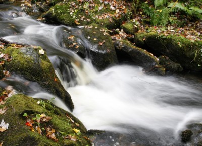 A stream rushes over moss-covered stones sprinkled with fall leaves. ©Joshua Brockman 2010. All Rights Reserved.