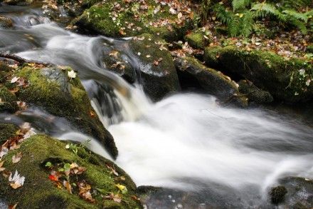 A stream rushes over moss-covered stones sprinkled with fall leaves. ©Joshua Brockman 2010. All Rights Reserved.