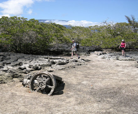 Left behind: An algae-encrusted engine wheel and a driveshaft from an old steamship have become part of the landscape on Fernandina Island. ©Joshua Brockman 2007. All Rights Reserved.